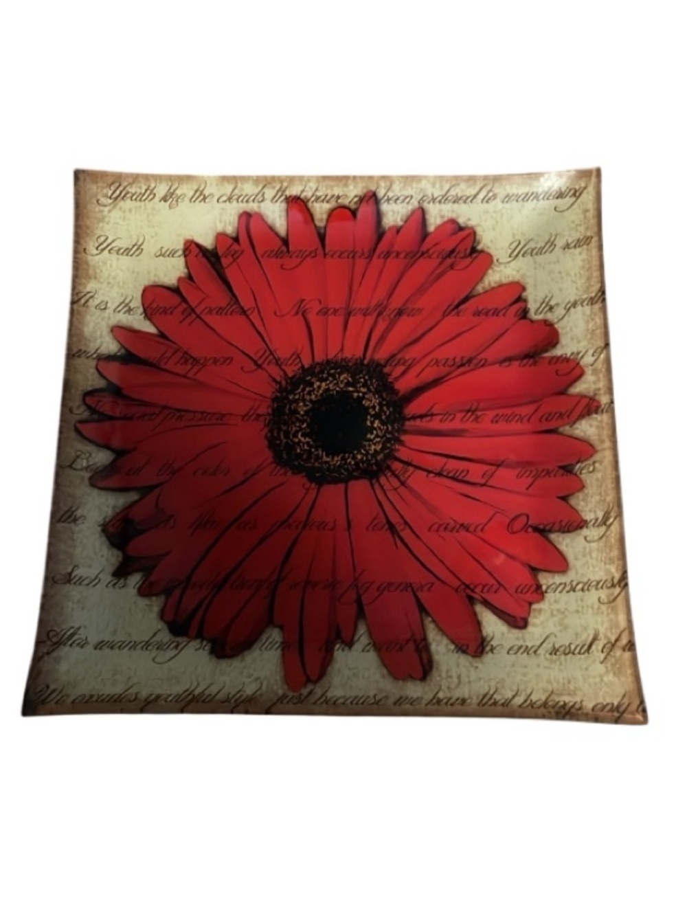 STOKES Red and Brown Glass Art with Floral Design Tray Display
